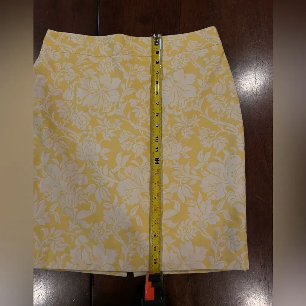 Ann Taylor pencil skirt, NWOT